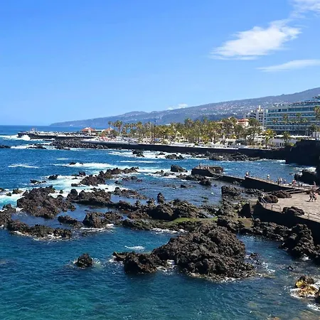 Estudio Vistas Al Mar Y Piscina Playa Jardin Lejlighed *