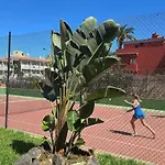 Estudio Con Vistas Al Mar Y Piscina A 300m De Playa Jardin Centro Puerto de la Cruz (Tenerife)
