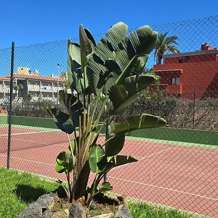Estudio Con Piscina En Playa Jardín Apartamento Puerto de la Cruz (Tenerife)