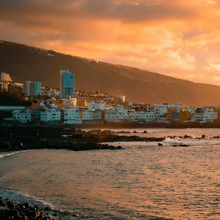 Apartamento Estudio Con Piscina En Playa Jardín *