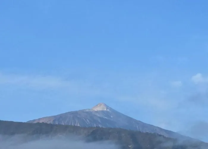 Estudio Con Piscina En Playa Jardín