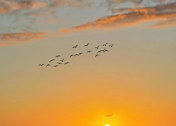 Estudio Con Piscina En Playa Jardín * Puerto de la Cruz (Tenerife)