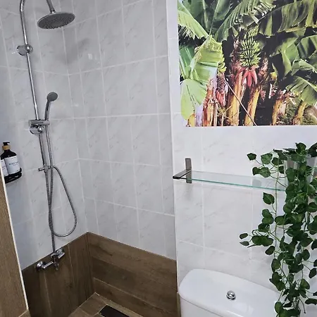 Estudio Con Vistas Al Mar Y Piscina A 300m De Playa Jardin Centro Apartman Puerto de la Cruz